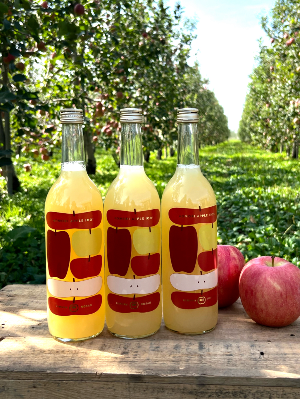 生のりんごの風味そのまま!【黄金比率ブレンド】昔ながらの100%りんごジュース 贈答用