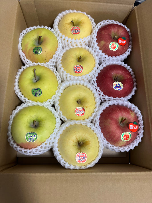 🍎人気の3種🍎サンふじ／はるか／ぐんま名月🍏甘さが違う！葉とらず入り品種ミックス3種🍎贈答用３キロ【冬ギフト】【お歳暮】のし対応